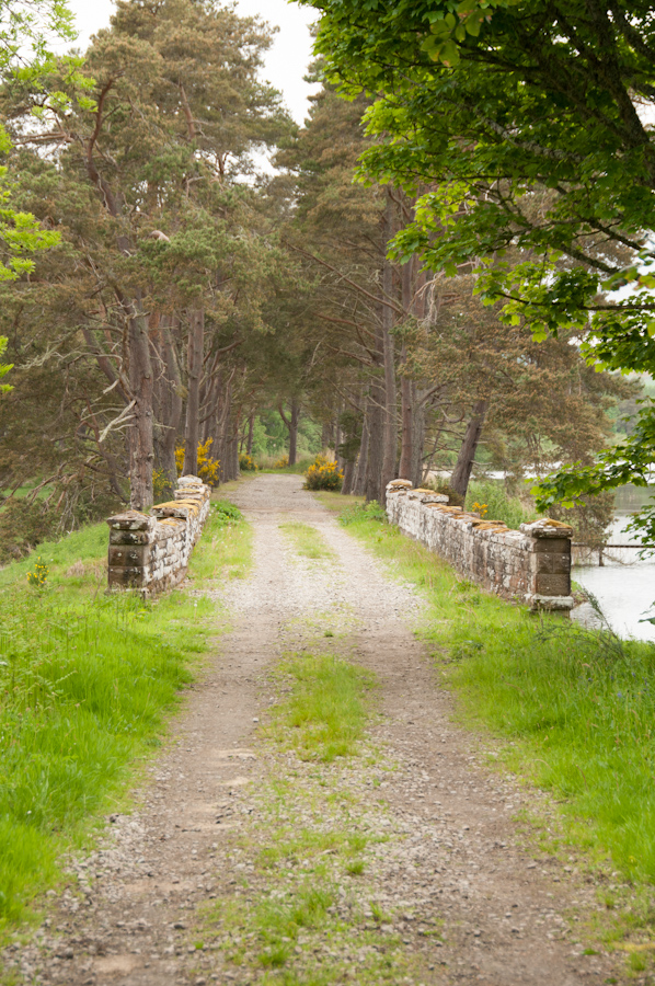 Bridge spanning Outfall of Lake Ospisdale, Skibo Castle